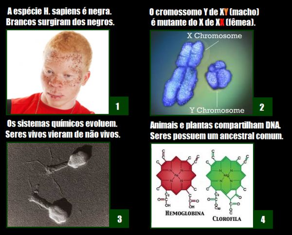 Quatro verdades fundamentais que a humanidade precisa entender