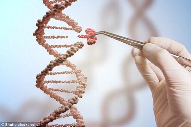Cientistas eliminam completamente HIV de animais pela primeira vez na história