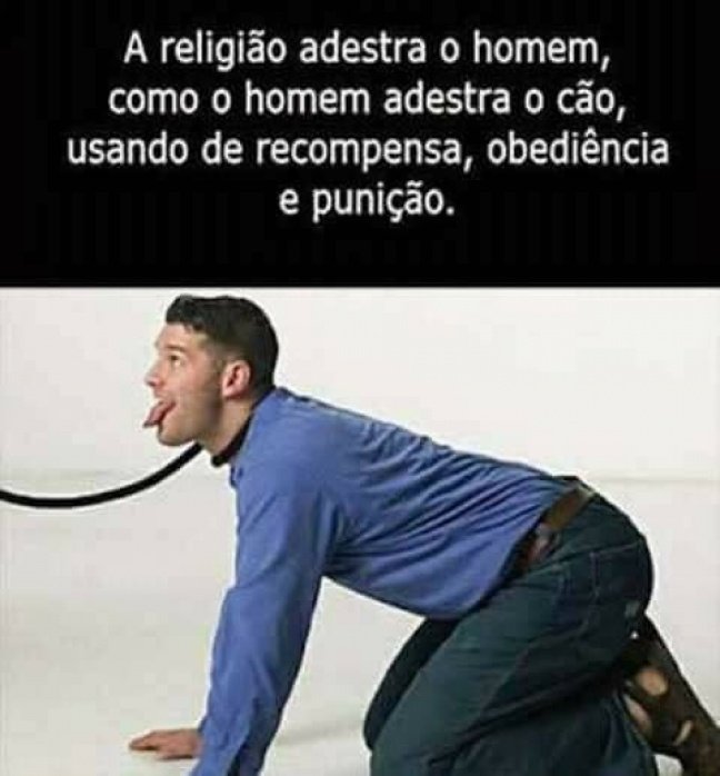 Adestramento