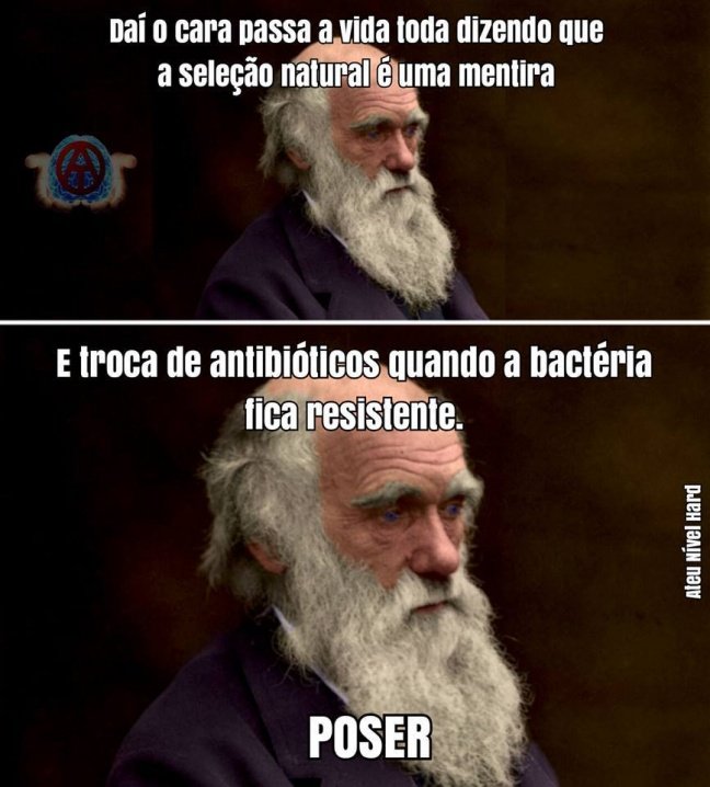 Seleção Natural