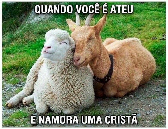 O Namoro