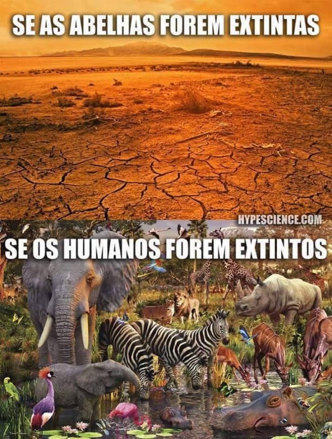 Abelhas e Homens