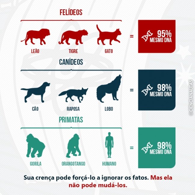 A Evolução e o DNA